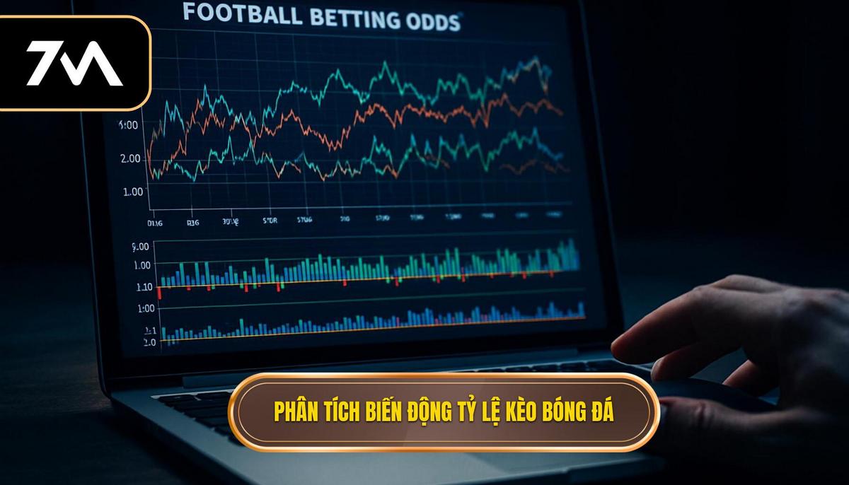 Phân tích chuyên sâu về biến động tỷ lệ kèo