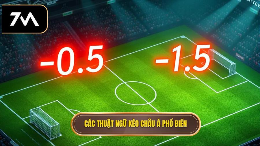Phân tích đa chiều: Ranh giới giữa kiến thức và tâm lý