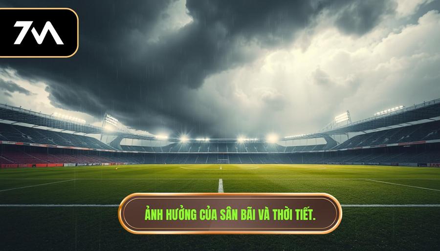 3. Ảnh hưởng của sân bãi và thời tiết.